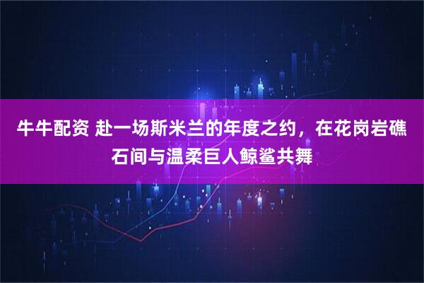 牛牛配资 赴一场斯米兰的年度之约,在花岗岩礁石间与温柔巨人鲸鲨共舞