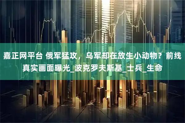 嘉正网平台 俄军猛攻，乌军却在放生小动物？前线真实画面曝光_波克罗夫斯基_士兵_生命