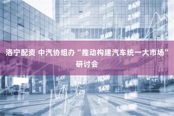洛宁配资 中汽协组办“推动构建汽车统一大市场”研讨会